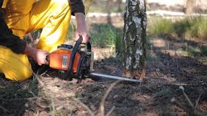 Best Lawn Mowing  in Clintonville, WI