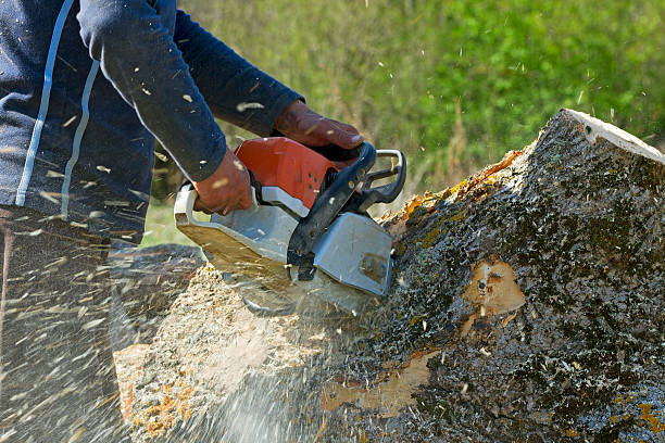 Best Soil Testing and Treatment  in Clintonville, WI